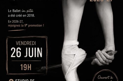 Audition Ballet In Situ 2026-2027